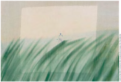 Yu Nishimuara, finder, 2020